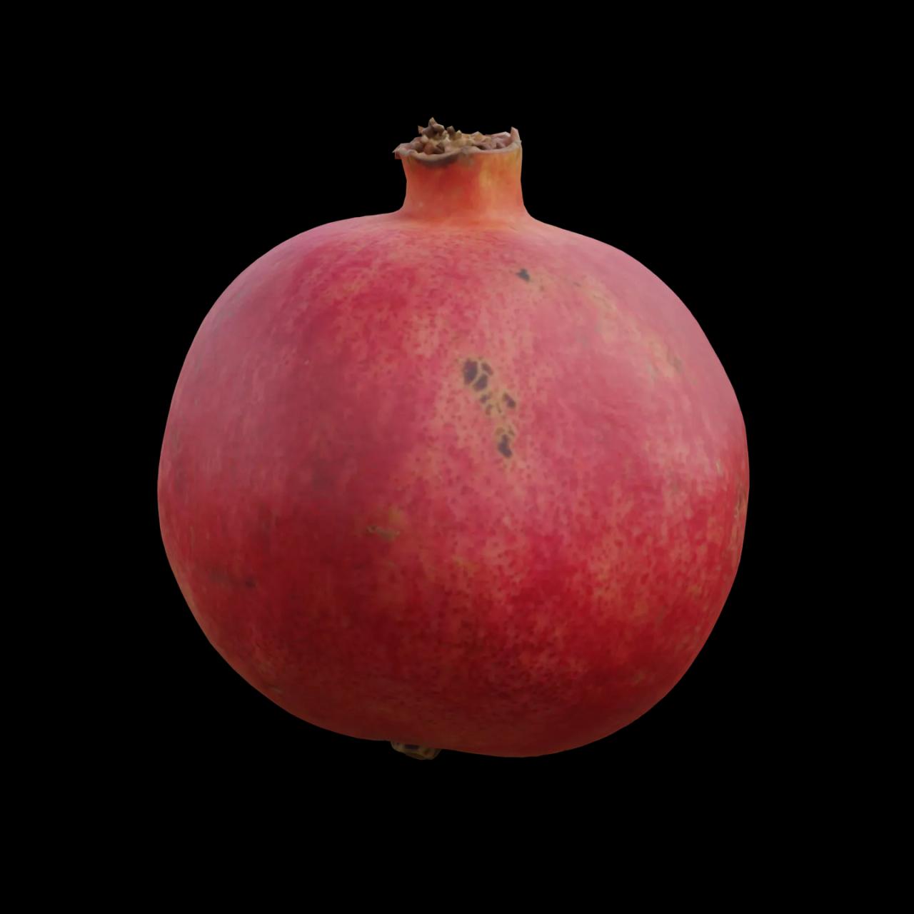 Alternative Gallery Image