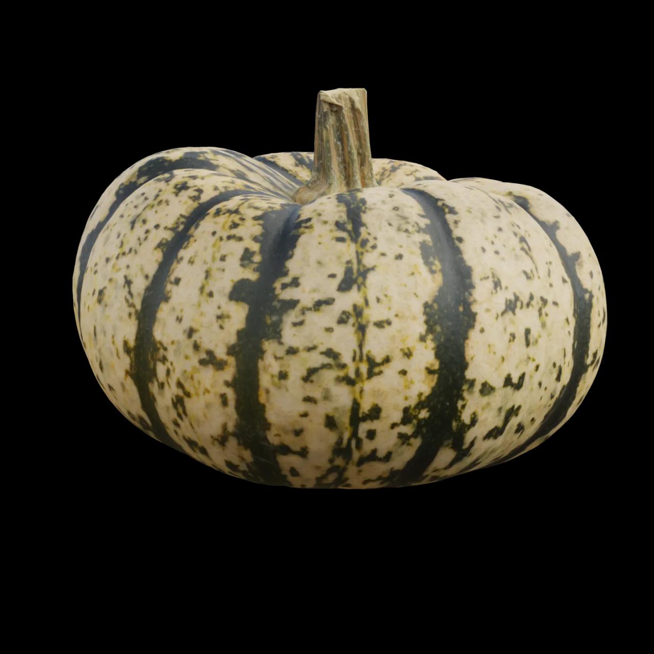 Alternative Gallery Image