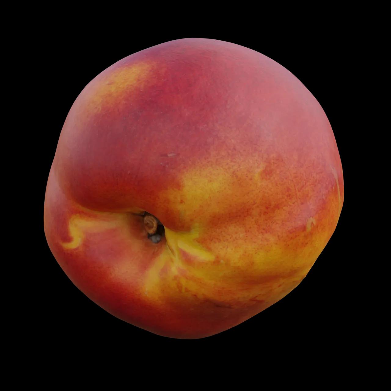 Alternative Gallery Image
