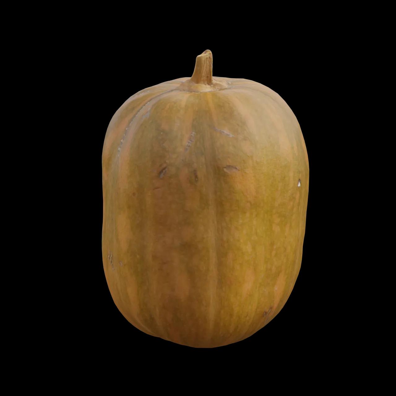 Alternative Gallery Image