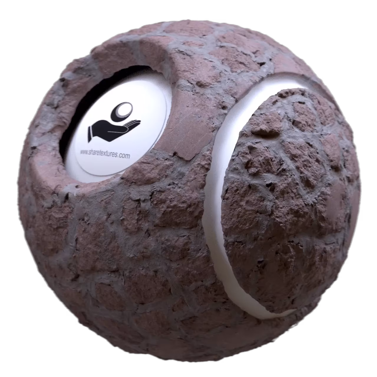 Alternative Gallery Image