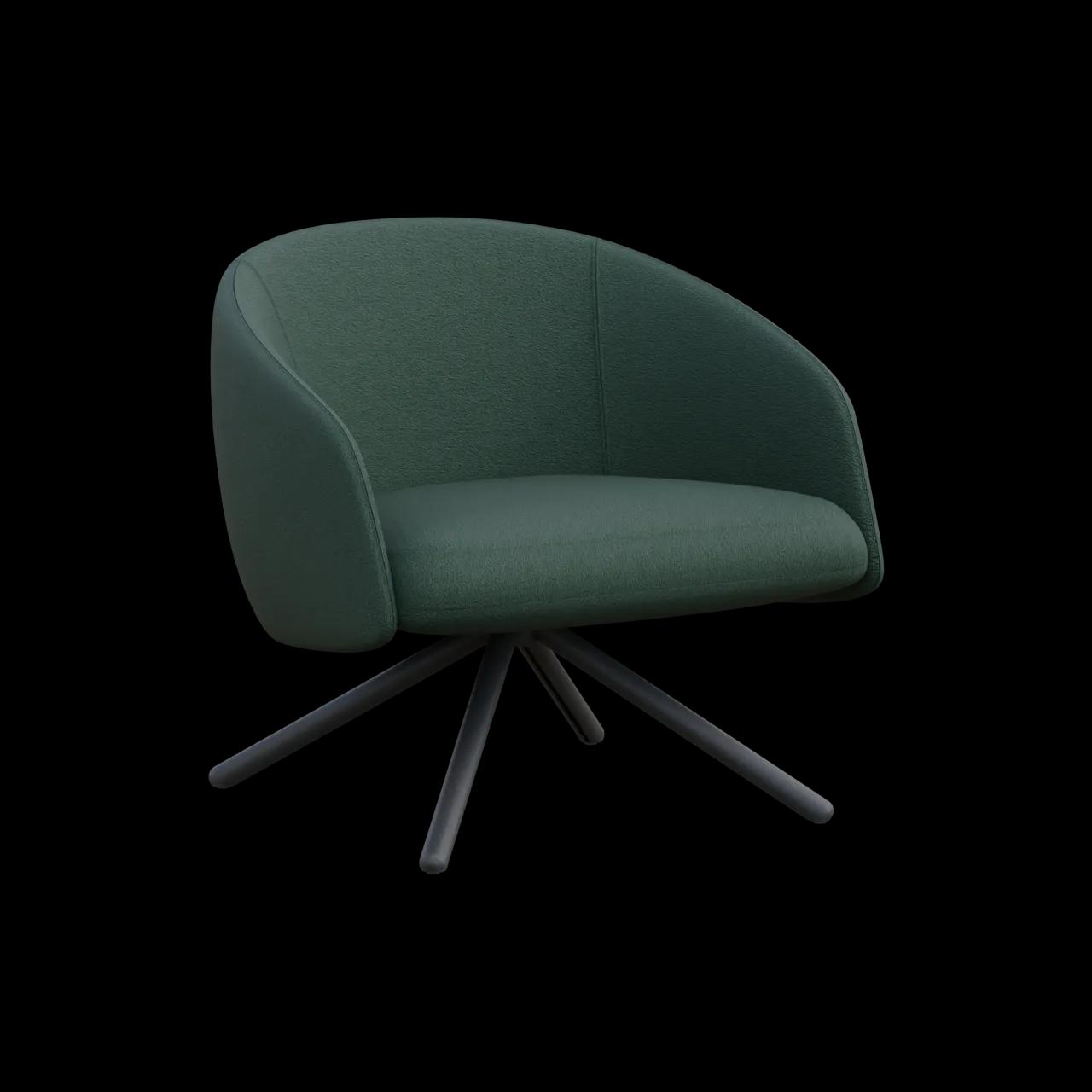 Alternative Gallery Image