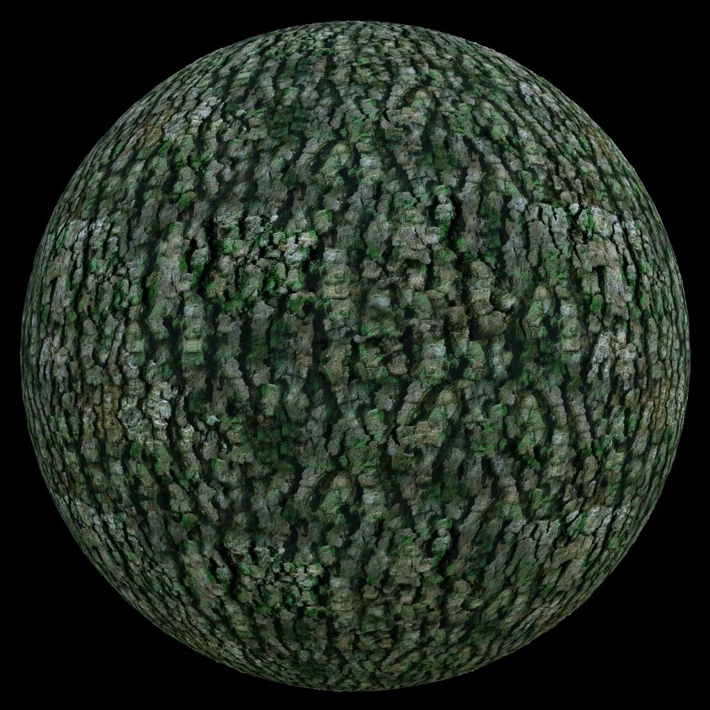 Alternative Gallery Image