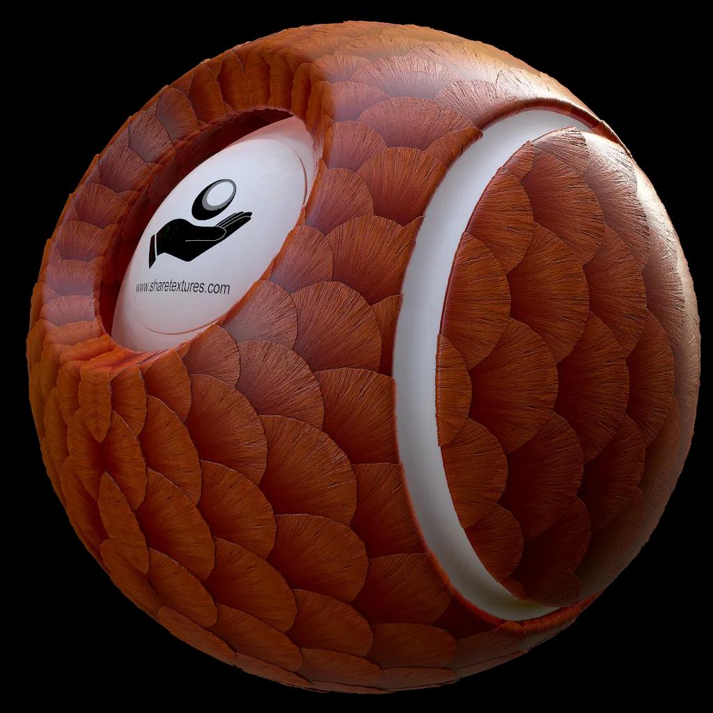 Alternative Gallery Image