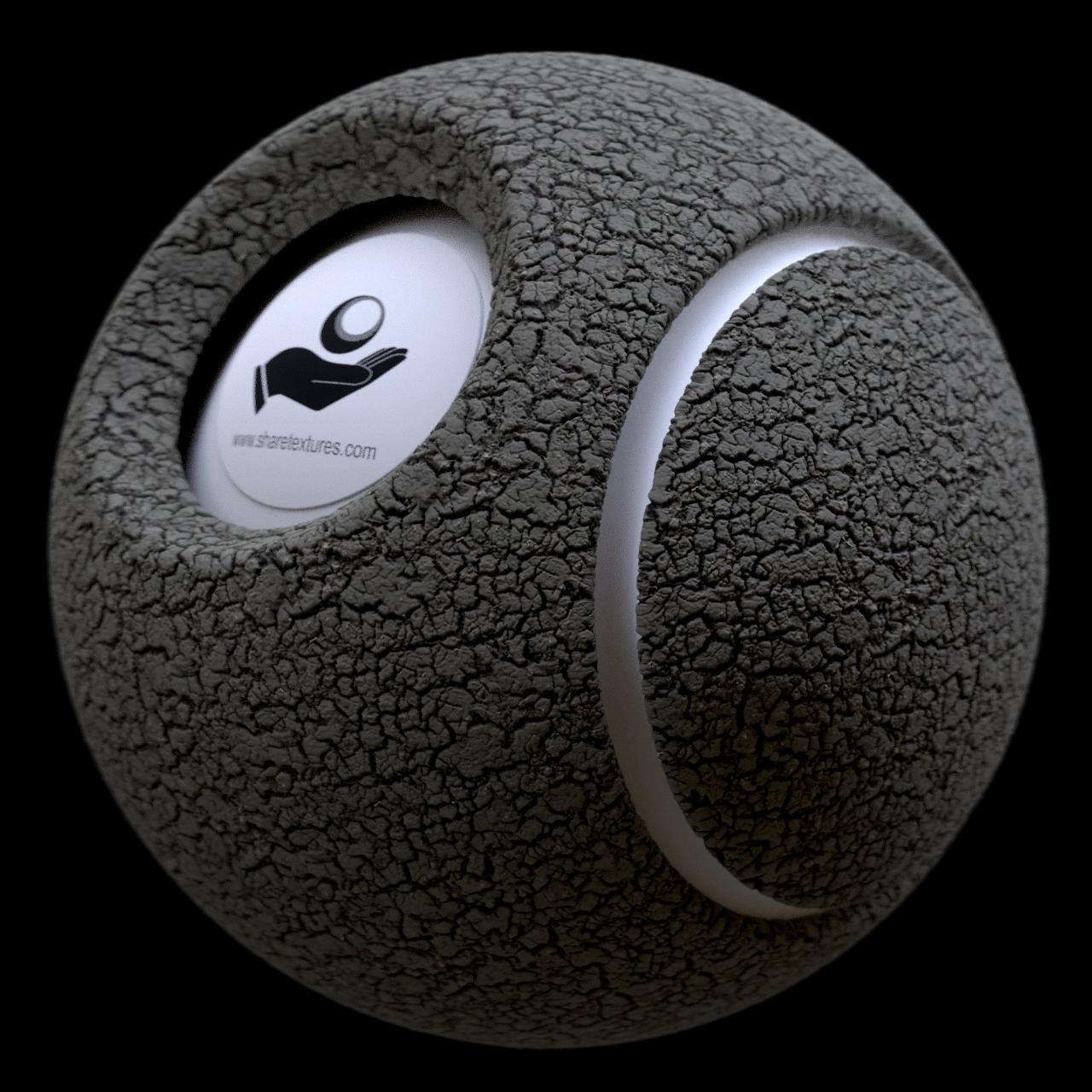 Alternative Gallery Image