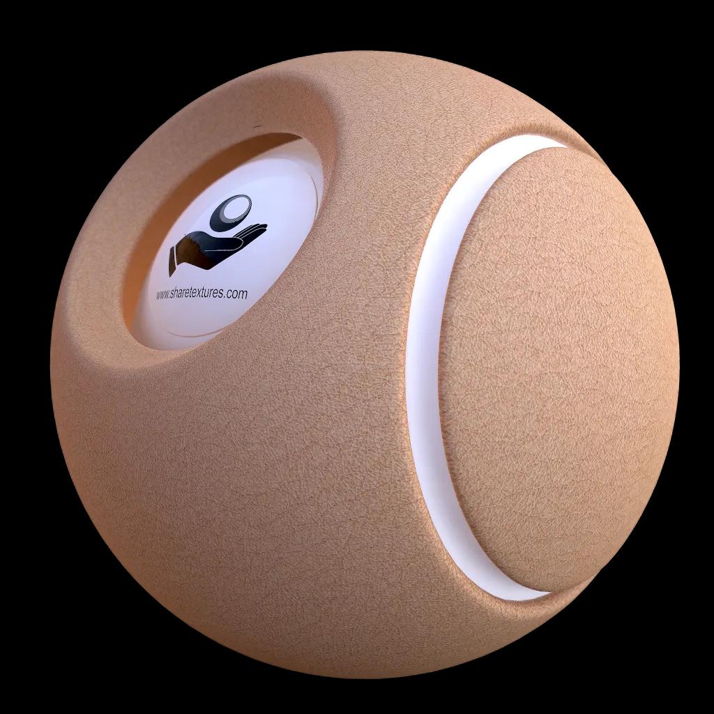 Alternative Gallery Image