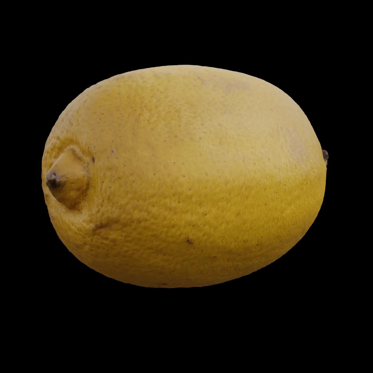 Alternative Gallery Image