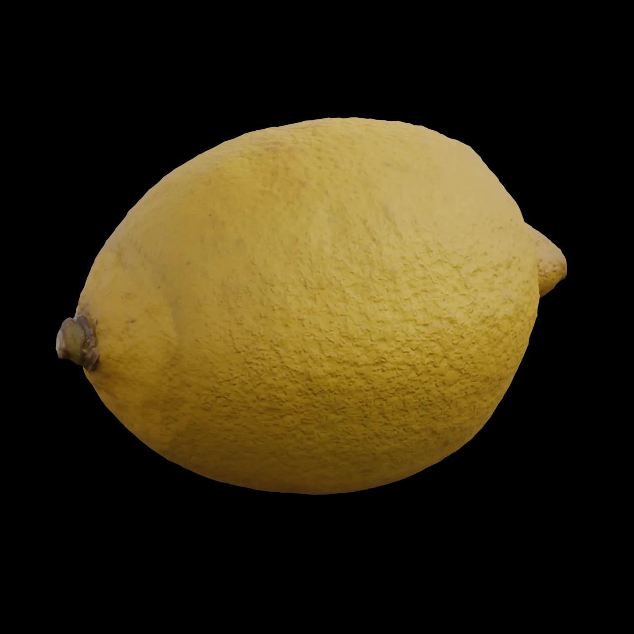 Alternative Gallery Image