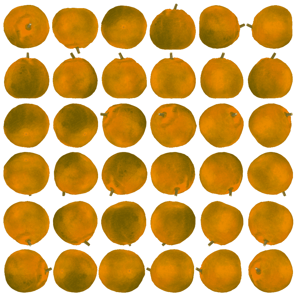 Alternative Gallery Image