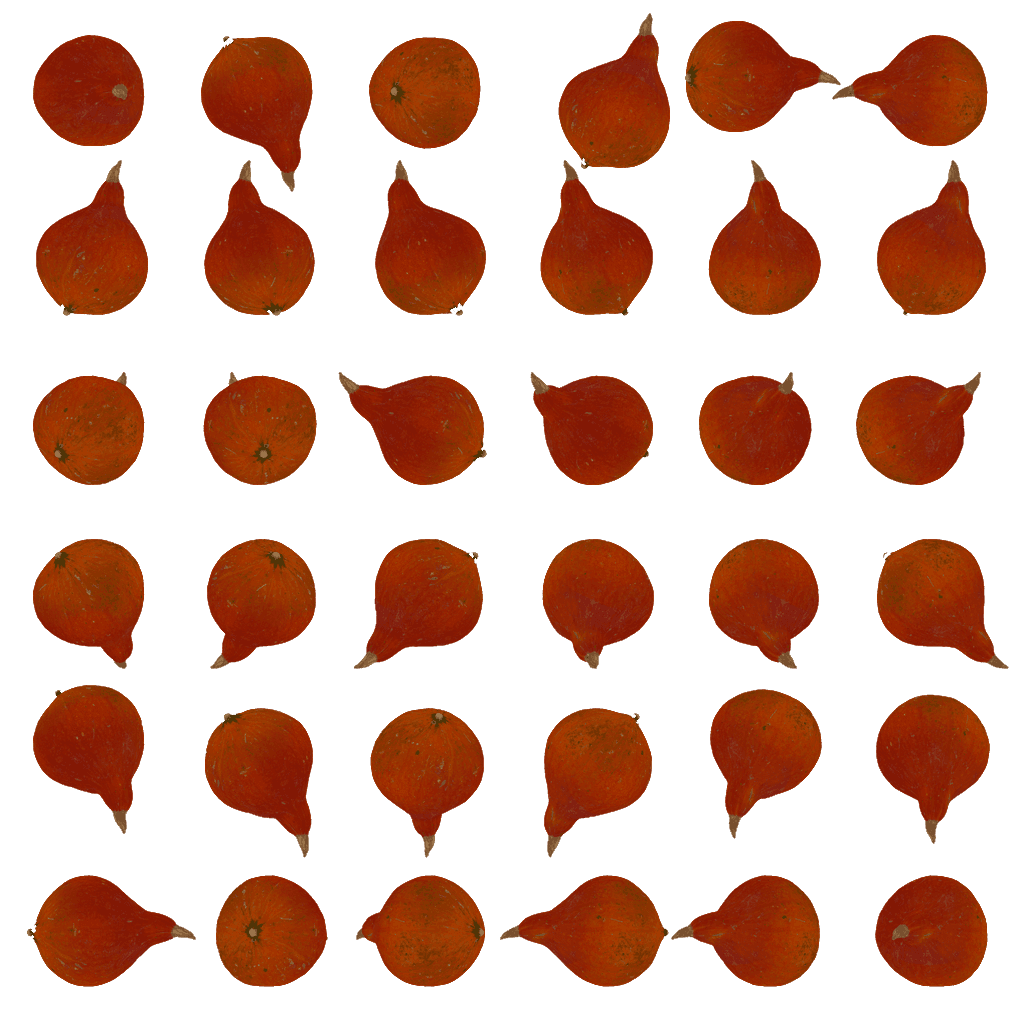 Alternative Gallery Image