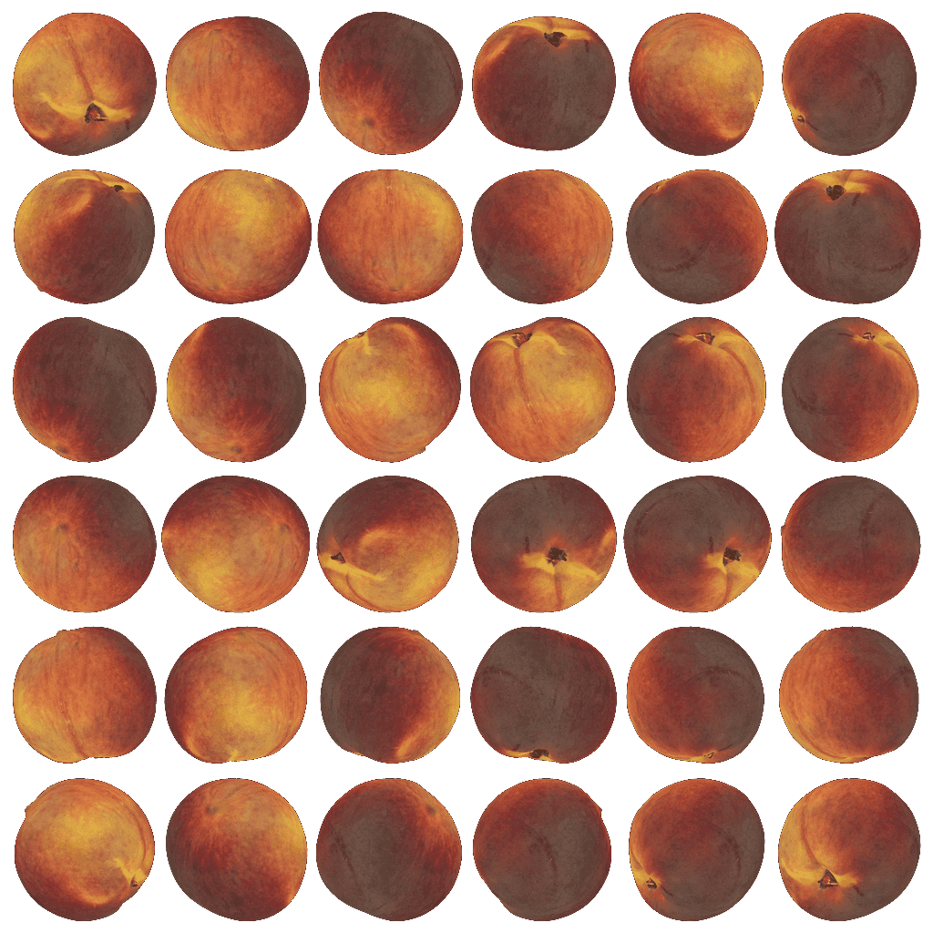 Alternative Gallery Image