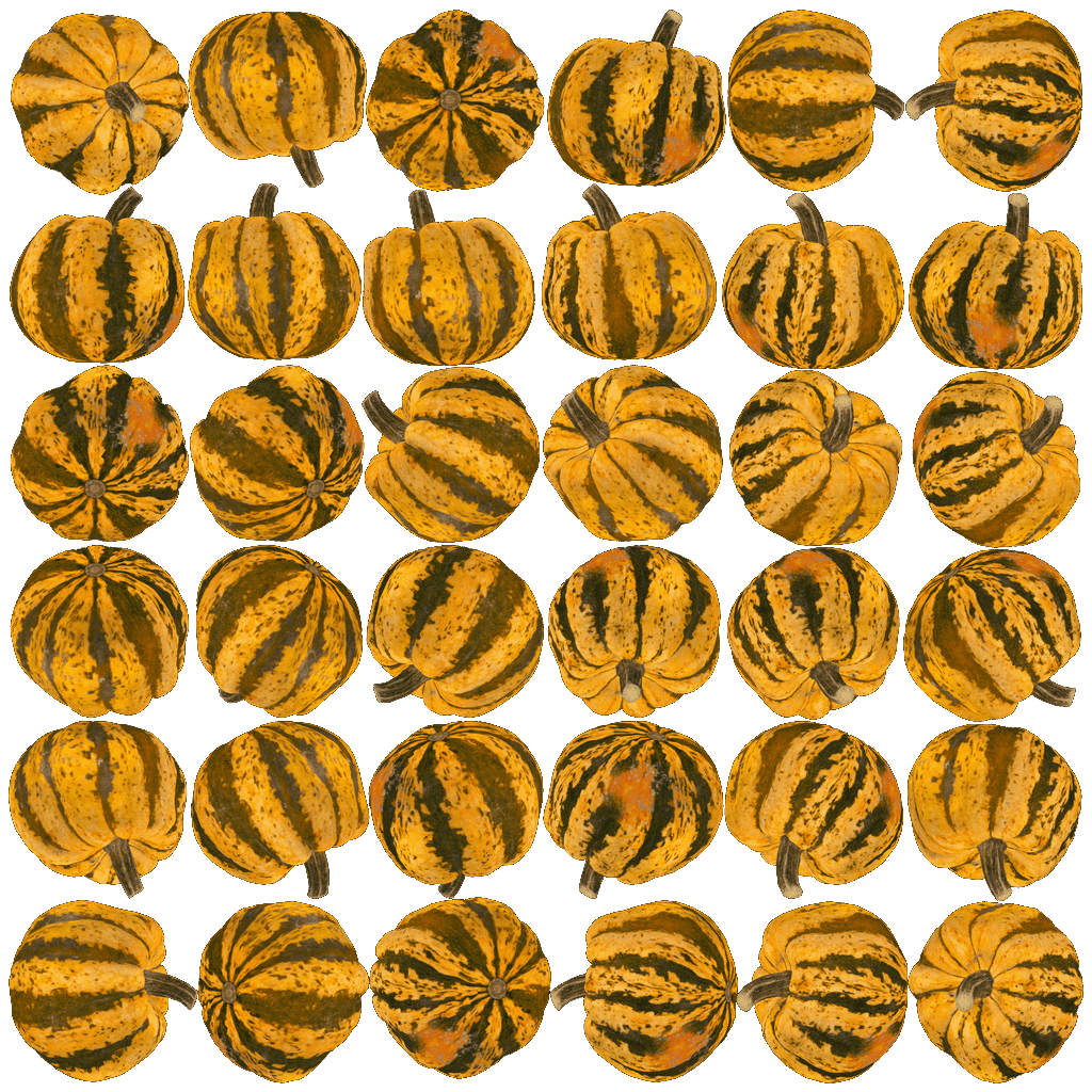 Alternative Gallery Image