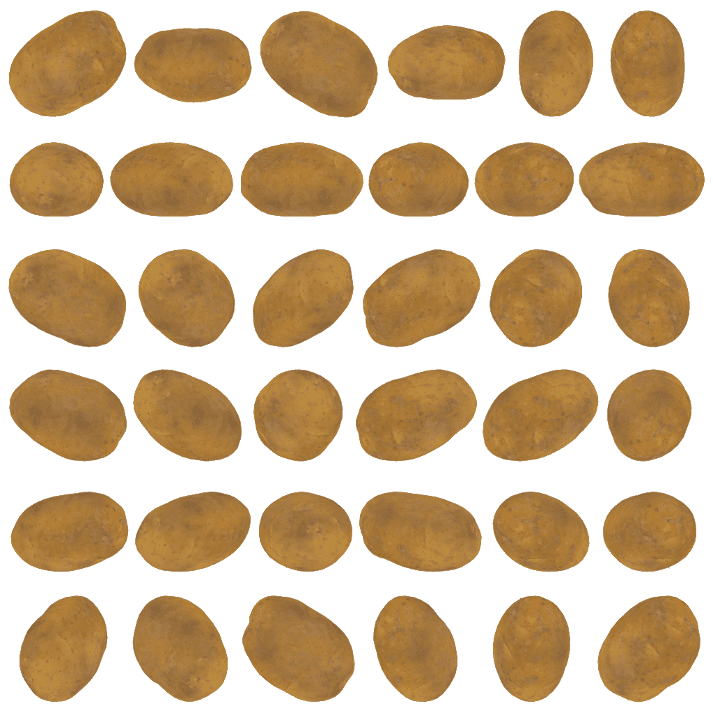 Alternative Gallery Image