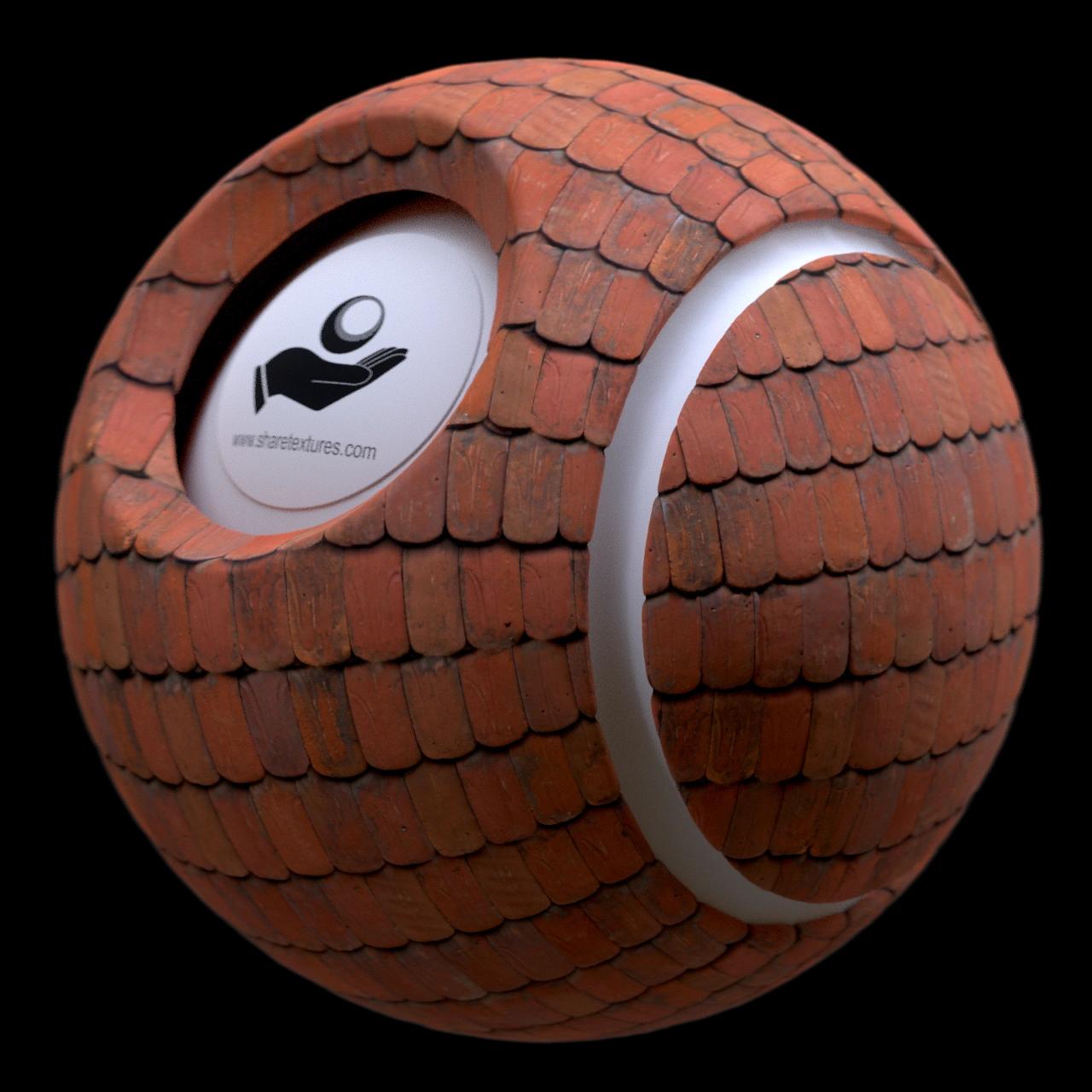 Alternative Gallery Image