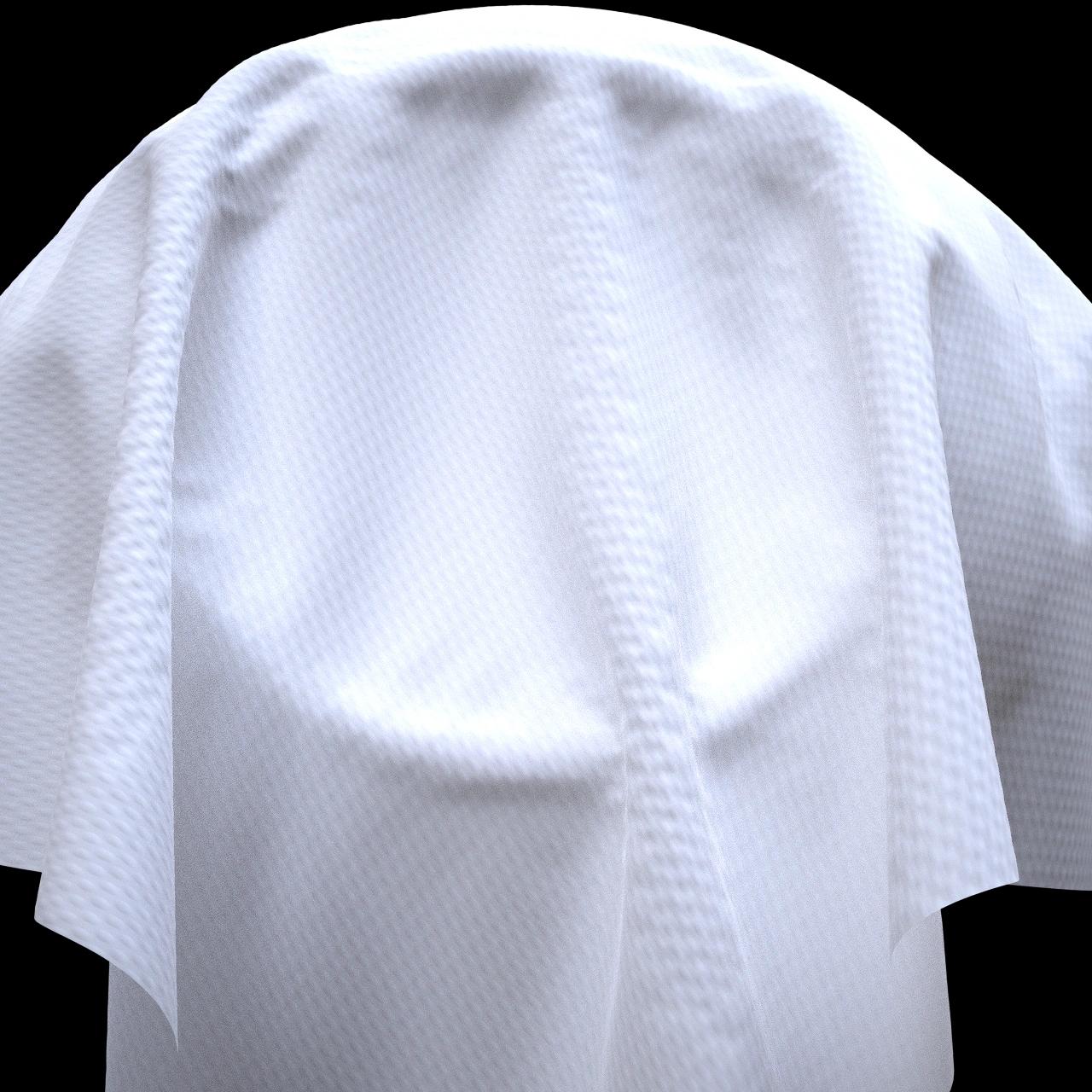 Alternative Gallery Image